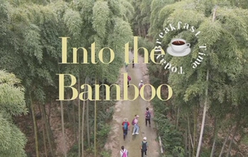 en el bosque de bambú
