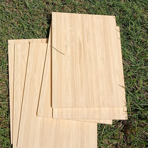 Contrachapado de bambú de grano estrecho prensado lateral de 5 mm